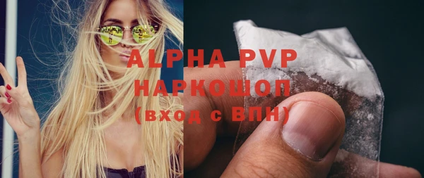 прущие грибы Богданович