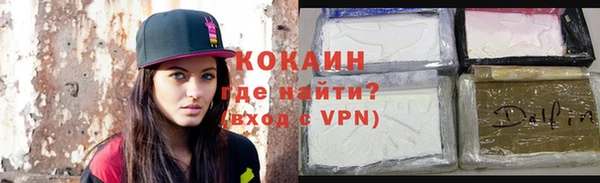 кокс Богородицк