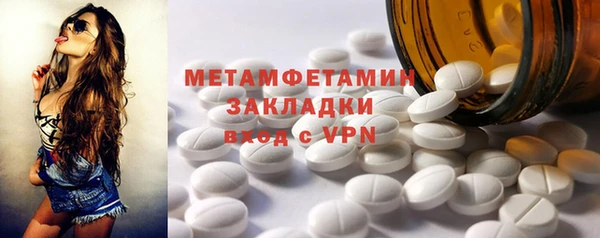 прущие грибы Богданович