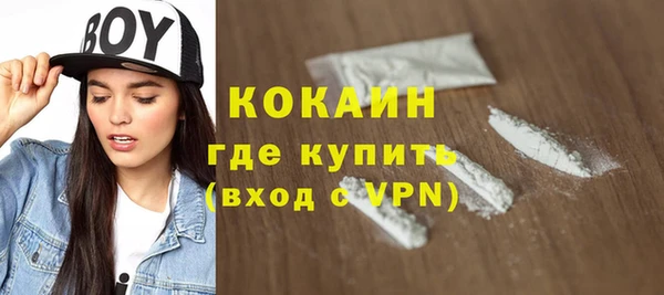 прущие грибы Богданович