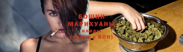 прущие грибы Богданович