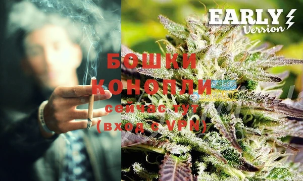 кокс Богородицк