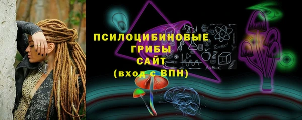 кокс Богородицк