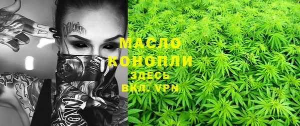 прущие грибы Богданович
